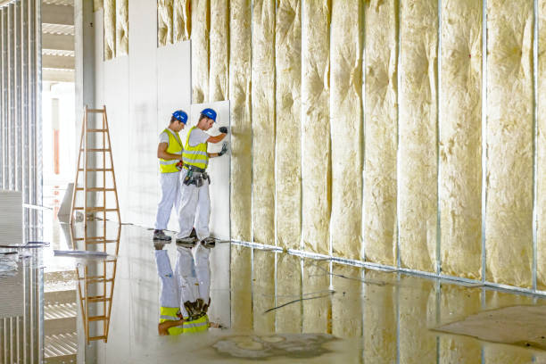 Best Eco-Friendly Insulation in Harkers Island, NC